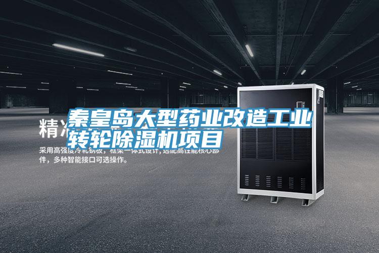 秦皇島大型藥業改造工業轉輪草莓小视频黄色項目