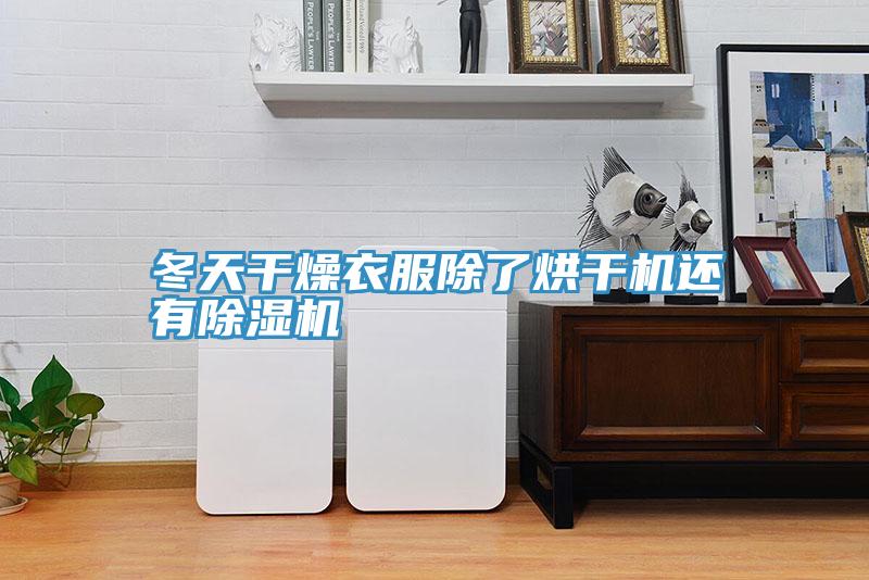 冬天幹燥衣服除了烘幹機還有草莓小视频黄色