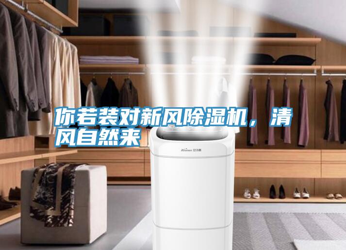 你若裝對新風草莓小视频黄色，清風自然來