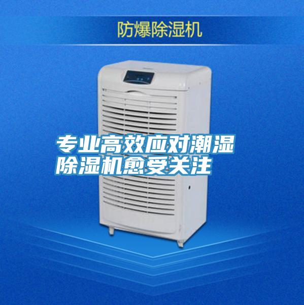 專業高效應對潮濕 草莓小视频黄色愈受關注