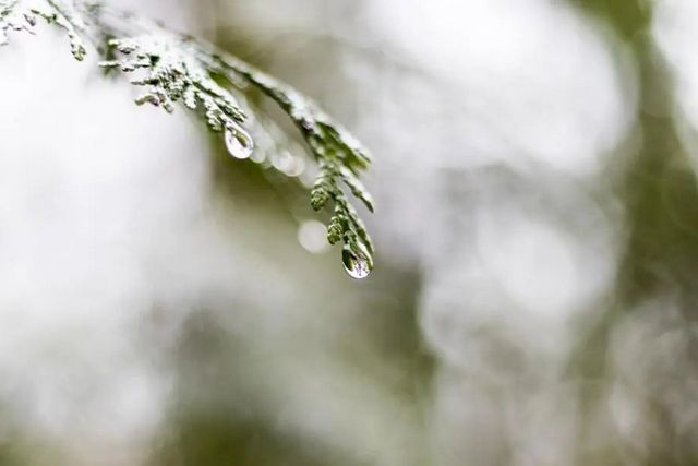 空氣濕度大帶來的危害有哪些，你知道嗎？