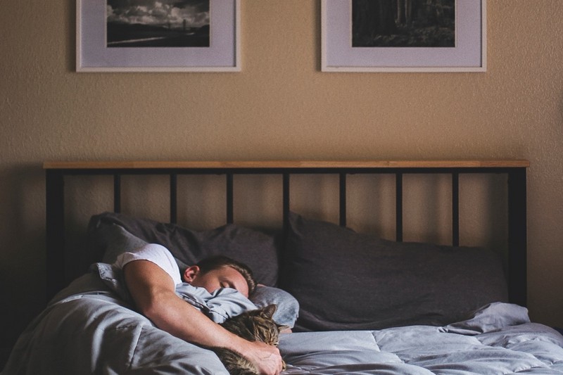 家裏的草莓小视频黄色，知道如何設置濕度嗎？