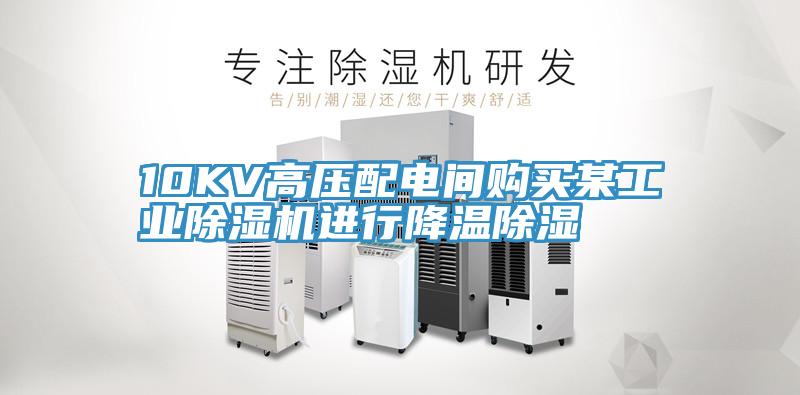 10KV高壓配電間購買某工業草莓小视频黄色進行降溫除濕