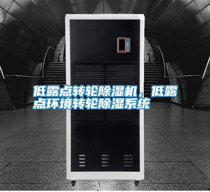 低露點轉輪草莓小视频黄色，低露點環境轉輪除濕係統