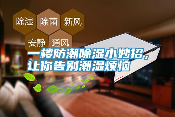 一樓防潮除濕小妙招，讓你告別潮濕煩惱