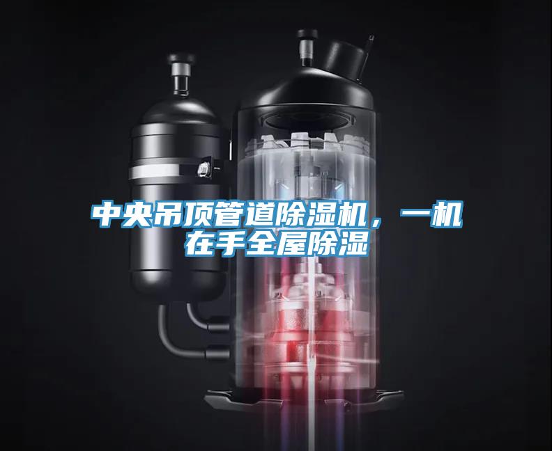 中央吊頂管道草莓小视频黄色，一機在手全屋除濕