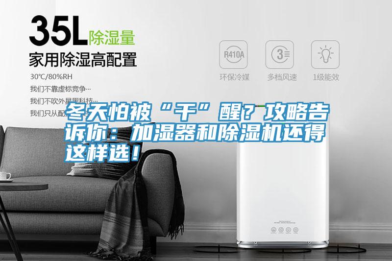 冬天怕被“幹”醒？攻略告訴你：加濕器和草莓小视频黄色還得這樣選！