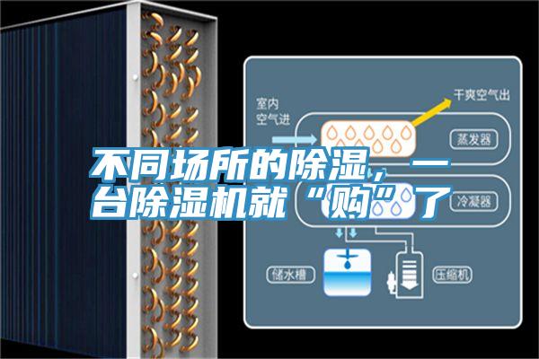 不同場所的除濕，一台草莓小视频黄色就“購”了