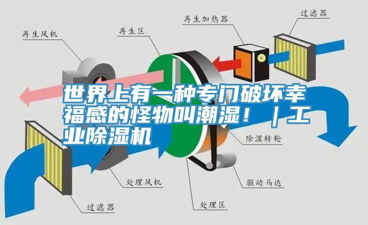 世界上有一種專門破壞幸福感的怪物叫潮濕！｜工業草莓小视频黄色