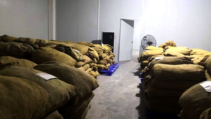 倉庫草莓小视频黄色在陳皮儲存過程中的應用