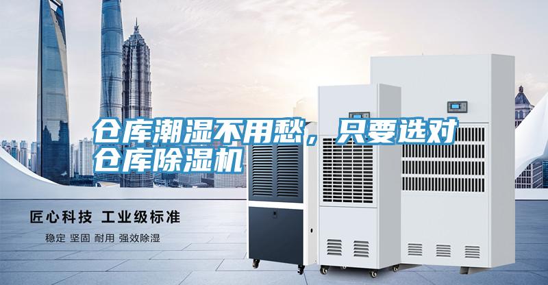 倉庫潮濕不用愁，隻要選對倉庫草莓小视频黄色