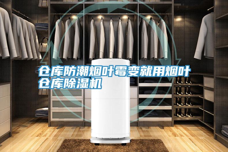 倉庫防潮煙葉黴變就用煙葉倉庫草莓小视频黄色