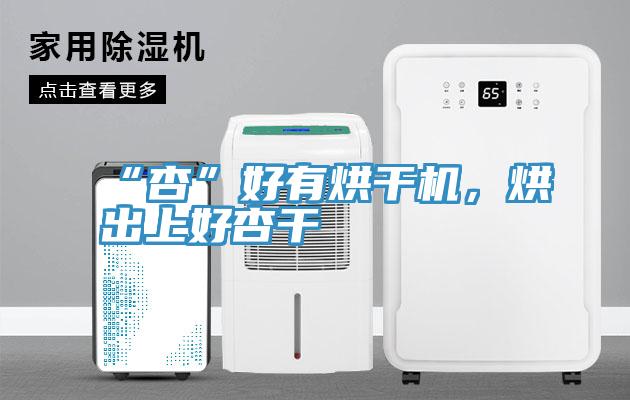 “杏”好有烘幹機，烘出上好杏幹