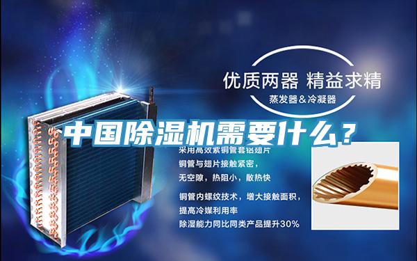 中國草莓小视频黄色需要什麽？