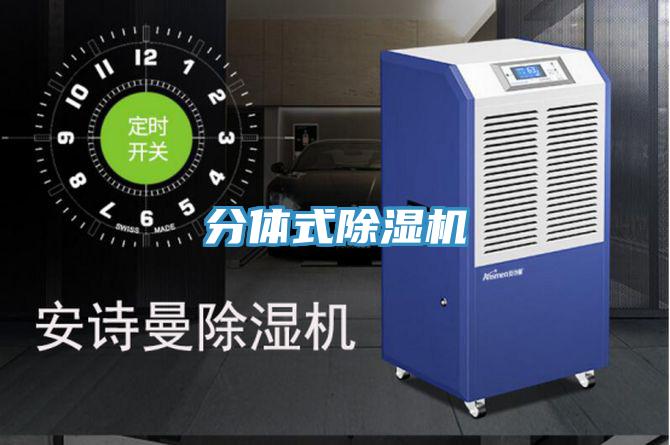 分體式草莓小视频黄色