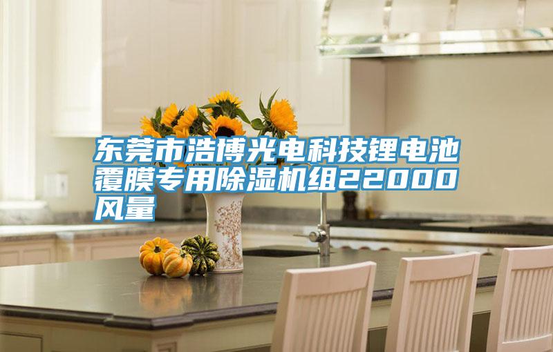 東莞市浩博光電科技鋰電池覆膜專用草莓小视频黄色組22000風量