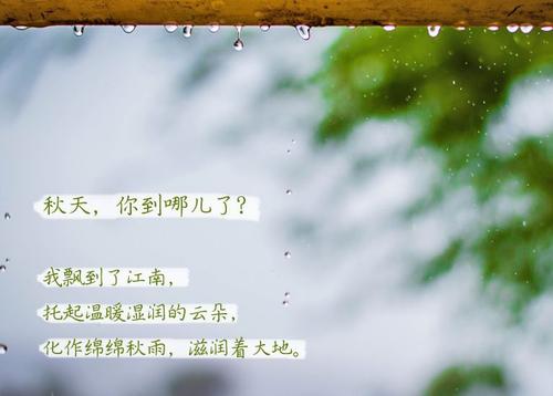 “無晴”陰雨天 “有晴”草莓小视频黄色
