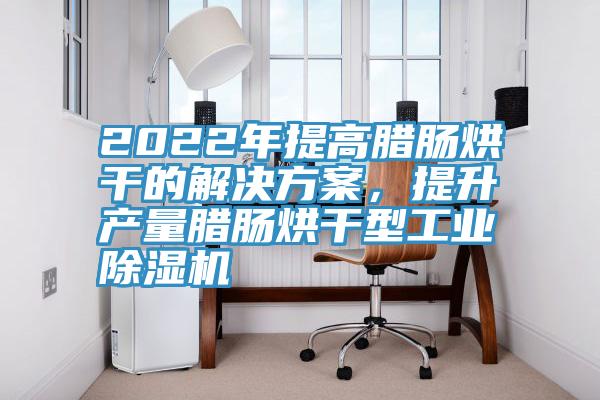 2022年提高臘腸烘幹的解決方案，提升產量臘腸烘幹型工業草莓小视频黄色
