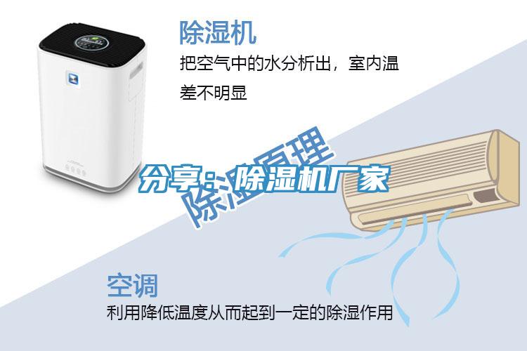 分享：草莓小视频黄色廠家