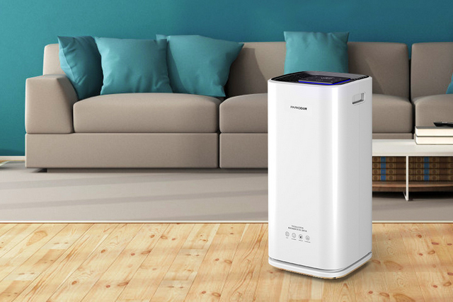 一起和草莓视频APP在线把健康空氣帶回家吧