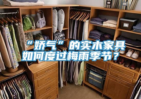 “嬌氣”的實木家具如何度過梅雨季節？