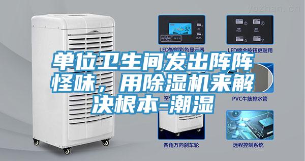 單位衛生間發出陣陣怪味，用草莓小视频黄色來解決根本-潮濕