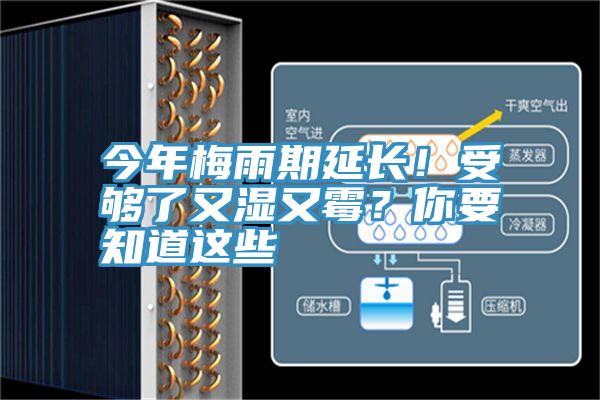 今年梅雨期延長！受夠了又濕又黴？你要知道這些