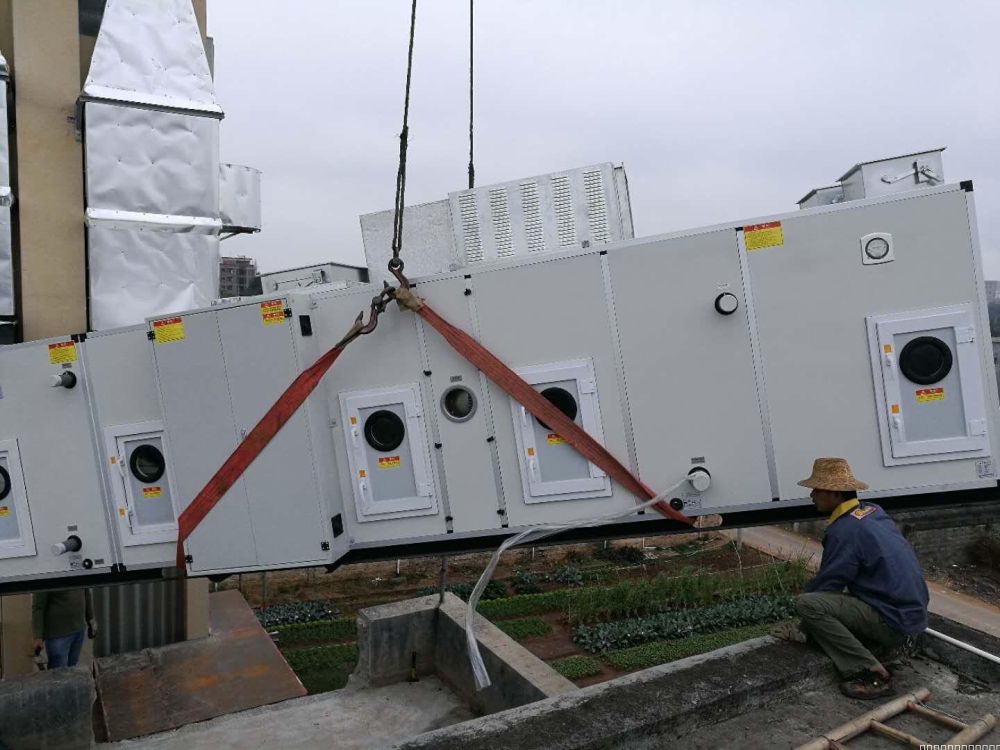 轉輪草莓小视频黄色安裝