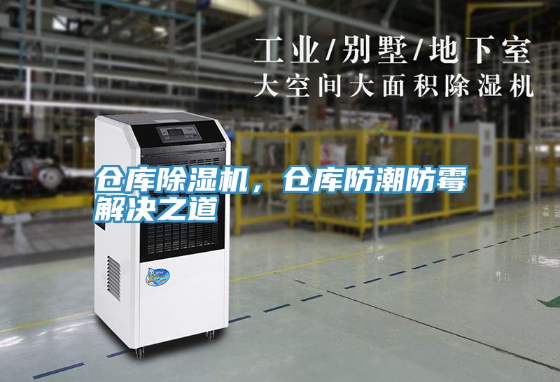 倉庫草莓小视频黄色，倉庫防潮防黴解決之道