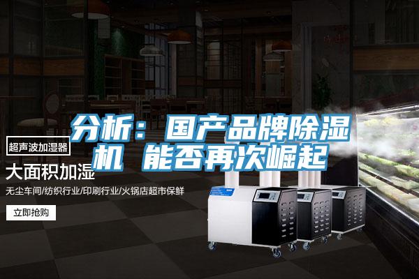 分析：國產品牌草莓小视频黄色 能否再次崛起