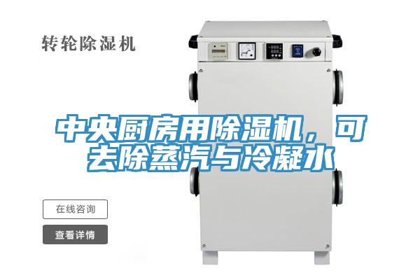 中央廚房用草莓小视频黄色，可去除蒸汽與冷凝水