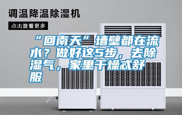 “回南天”牆壁都在流水？做好這5步，去除濕氣，家裏幹燥忒舒服