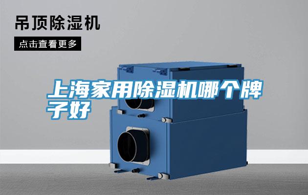 上海家用草莓小视频黄色哪個牌子好