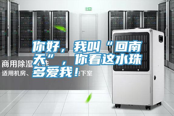 你好，我叫“回南天”，你看這水珠多愛我！