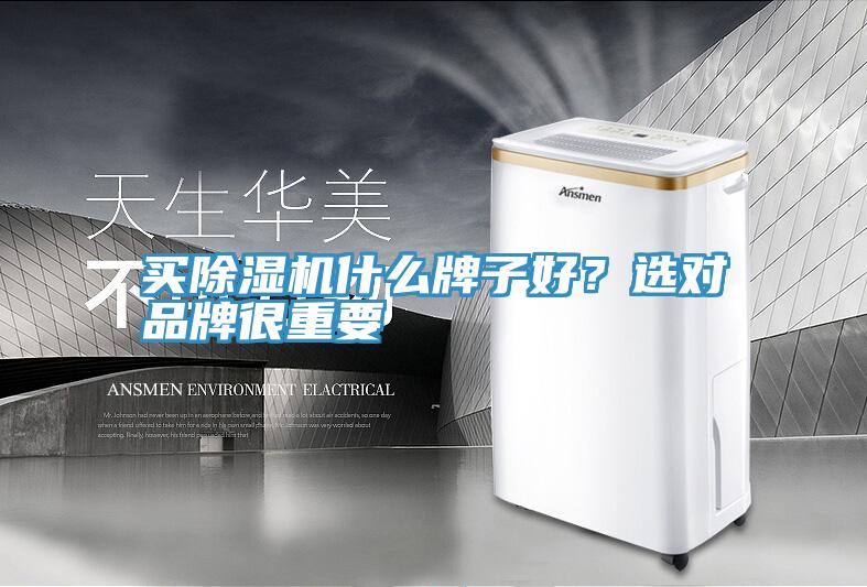 買草莓小视频黄色什麽牌子好？選對品牌很重要