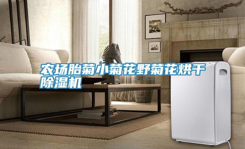 農場胎菊小菊花野菊花烘幹草莓小视频黄色