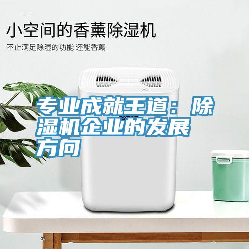 專業成就王道：草莓小视频黄色企業的發展方向