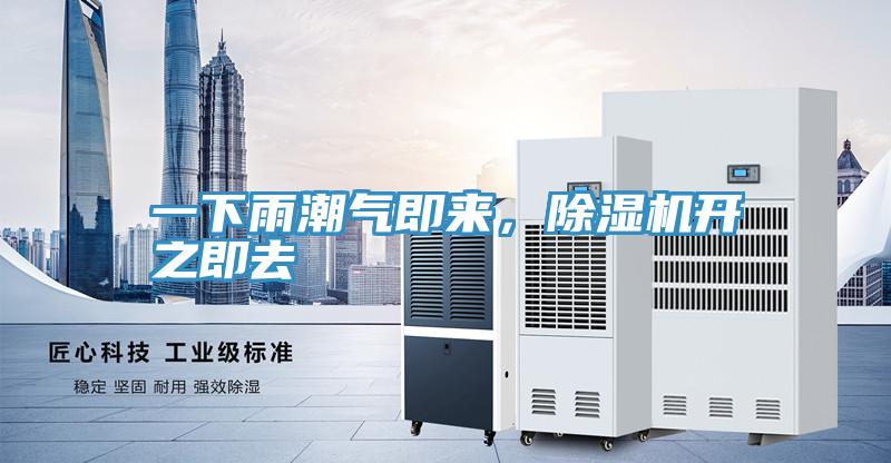 一下雨潮氣即來，草莓小视频黄色開之即去