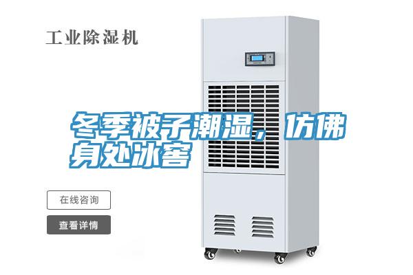 冬季被子潮濕，仿佛身處冰窖