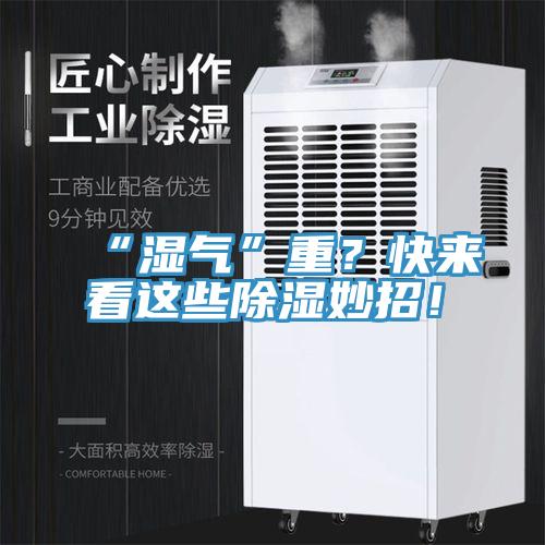 “濕氣”重？快來看這些除濕妙招！