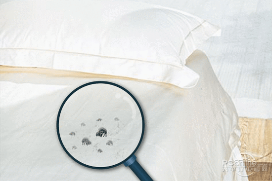 草莓小视频黄色加濕器的原理是什麽，南北差異應該買哪個？