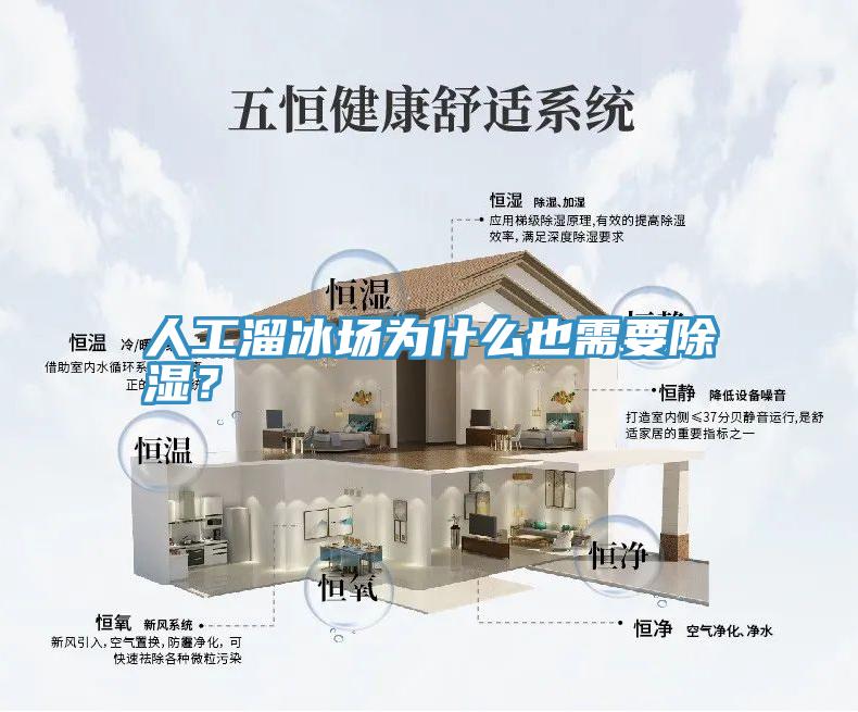 人工溜冰場為什麽也需要除濕？