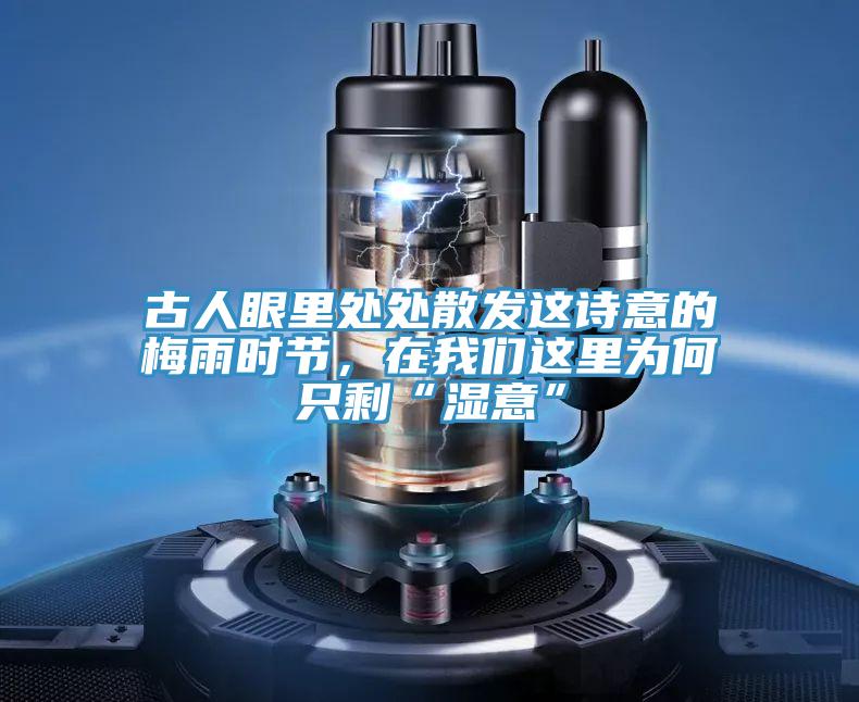 古人眼裏處處散發這詩意的梅雨時節，在草莓视频APP在线這裏為何隻剩“濕意”