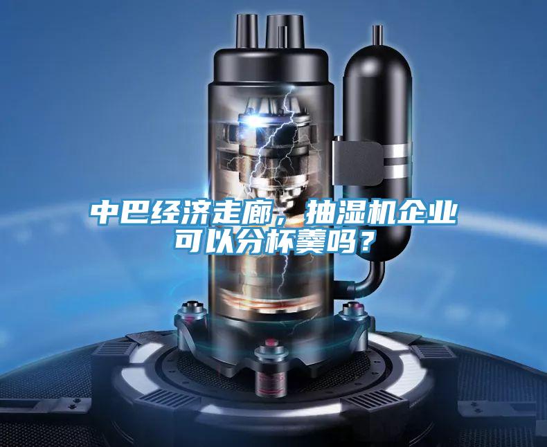 中巴經濟走廊，抽濕機企業可以分杯羹嗎？