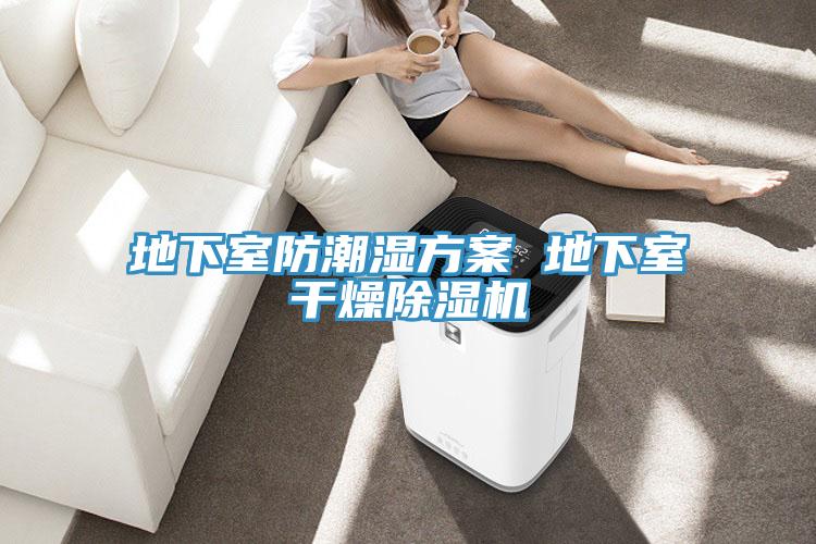 地下室防潮濕方案 地下室幹燥草莓小视频黄色