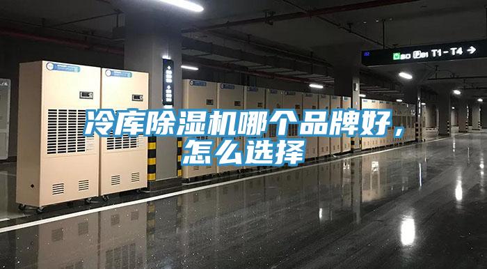 冷庫草莓小视频黄色哪個品牌好，怎麽選擇