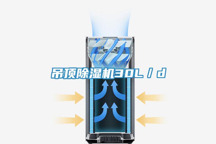 吊頂草莓小视频黄色30L／d