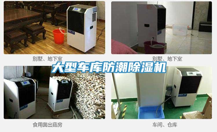 大型車庫防潮草莓小视频黄色