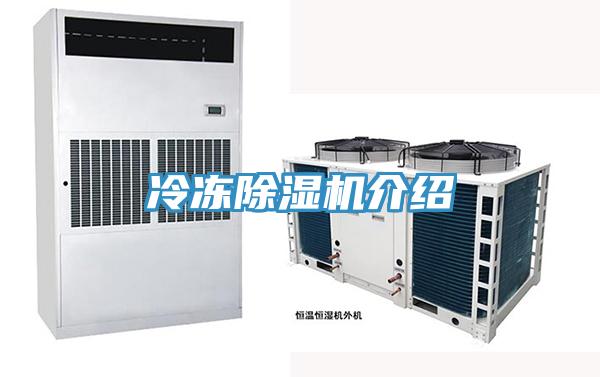 冷凍草莓小视频黄色介紹