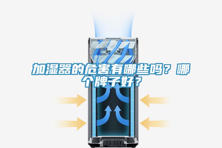 加濕器的危害有哪些嗎？哪個牌子好？